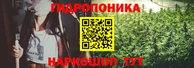 трава Аргун